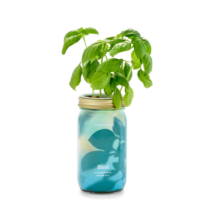 Organic Herb Garden Jar Hydroponic Growing Kit - Hello World Modern Mercantile