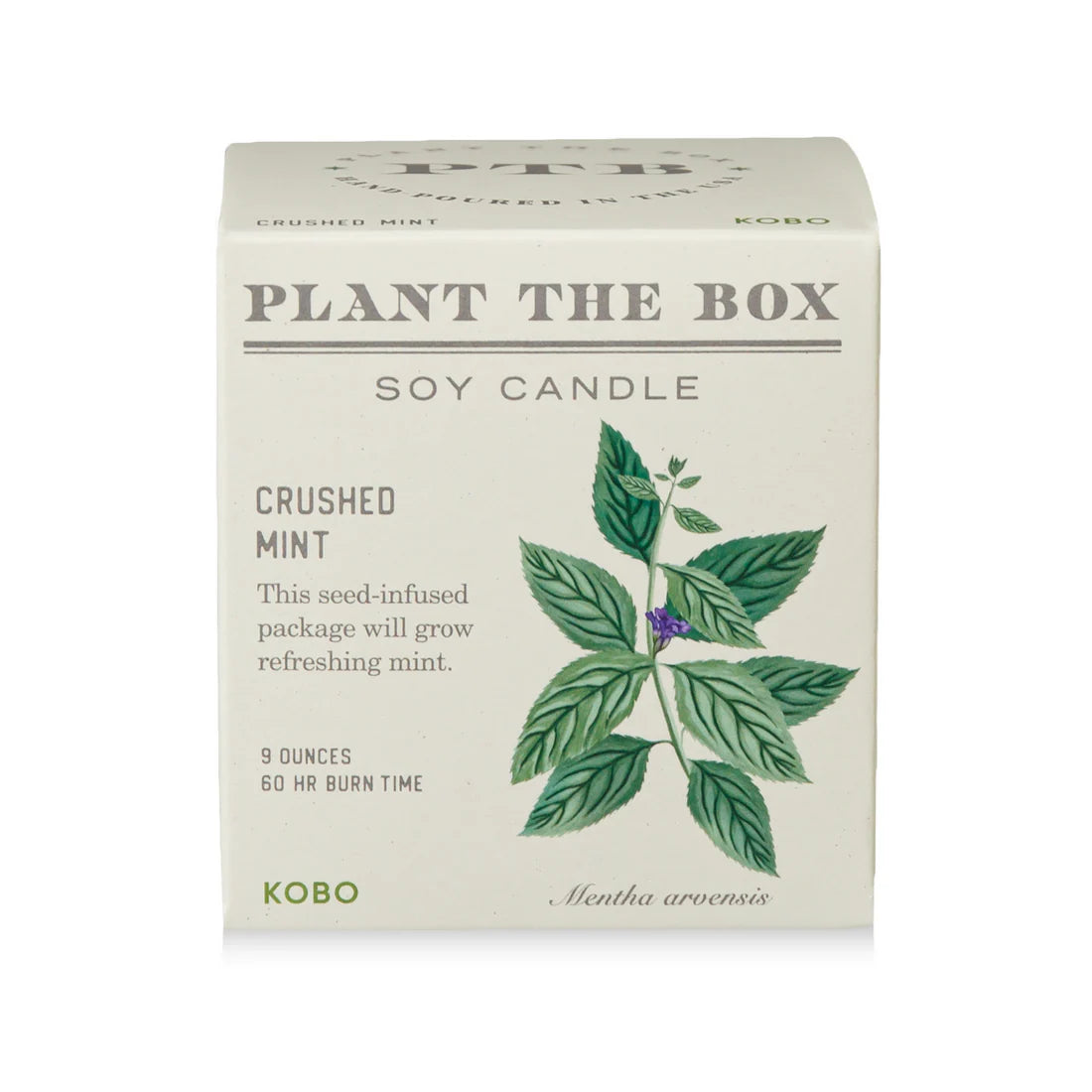 Crushed Mint - Pure Soy Candle Plantable Box - Hello World Modern Mercantile