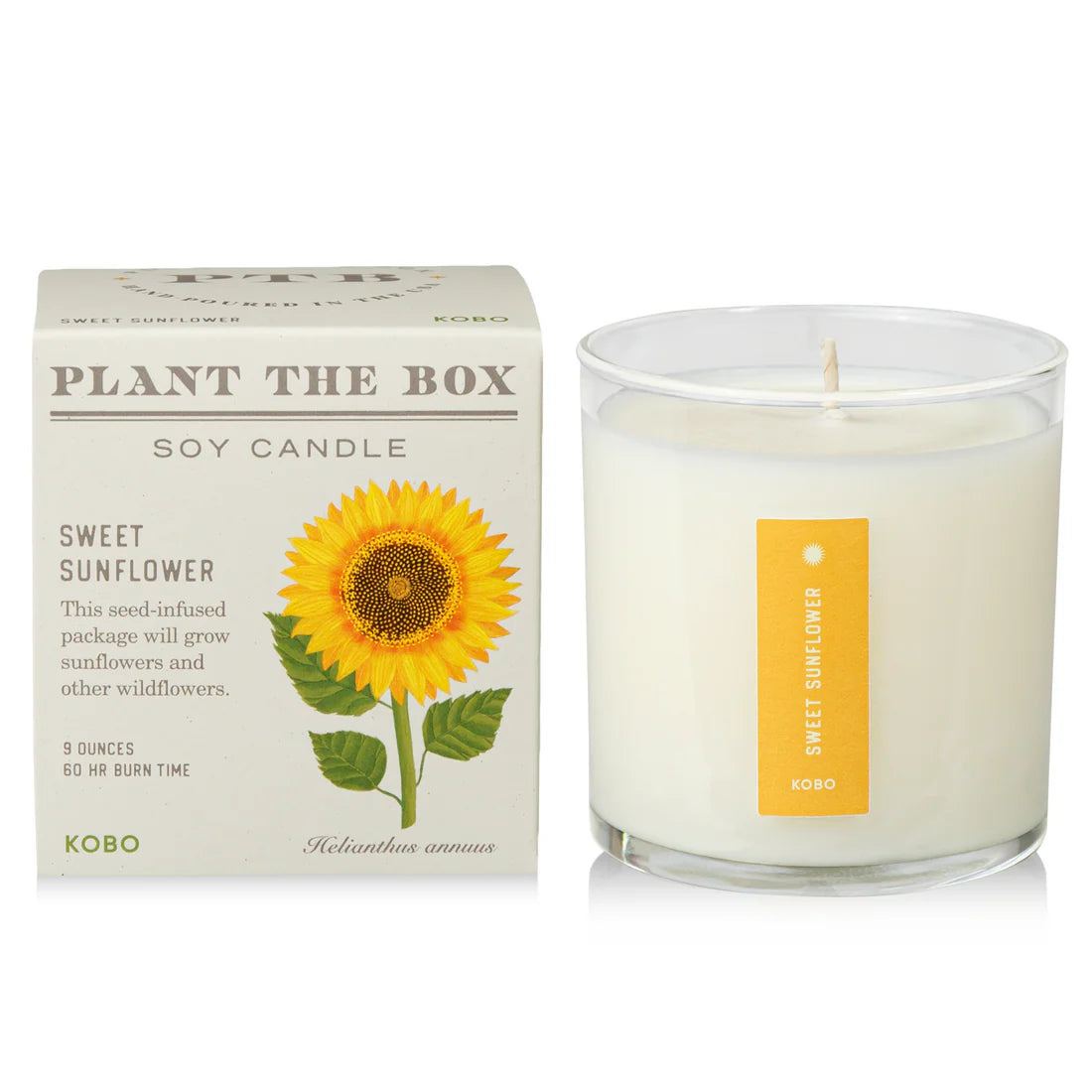 Sweet Sunflower - Pure Soy Plant The Box Candle - Hello World Modern Mercantile