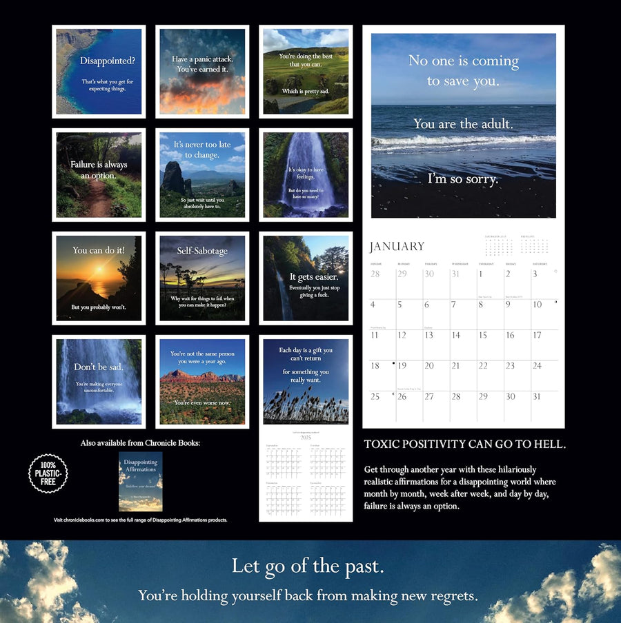 2026 Wall Calendar: Disappointing Affirmations