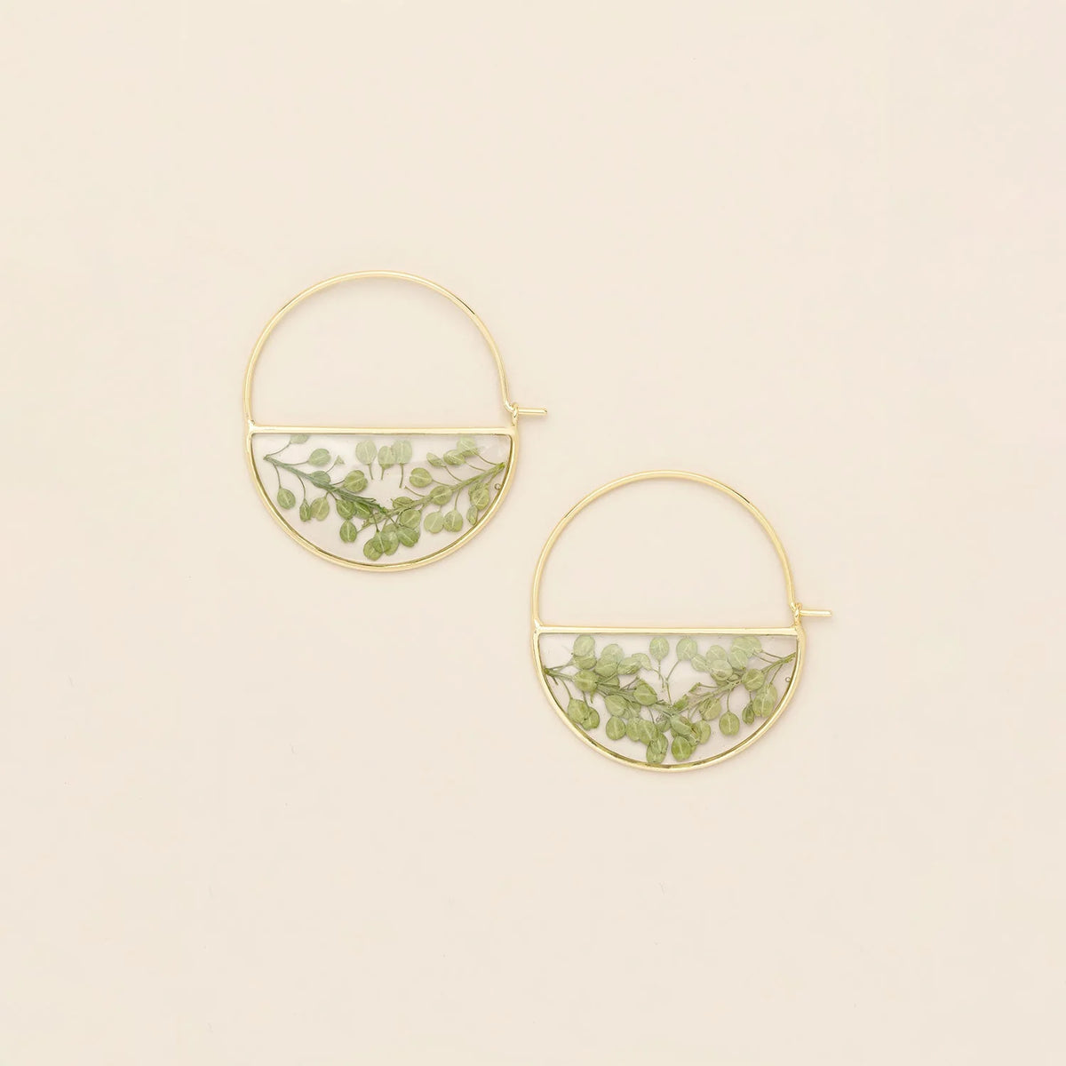 Pressed Flower Hoop Earrings - Gold - Green Peppergrass
