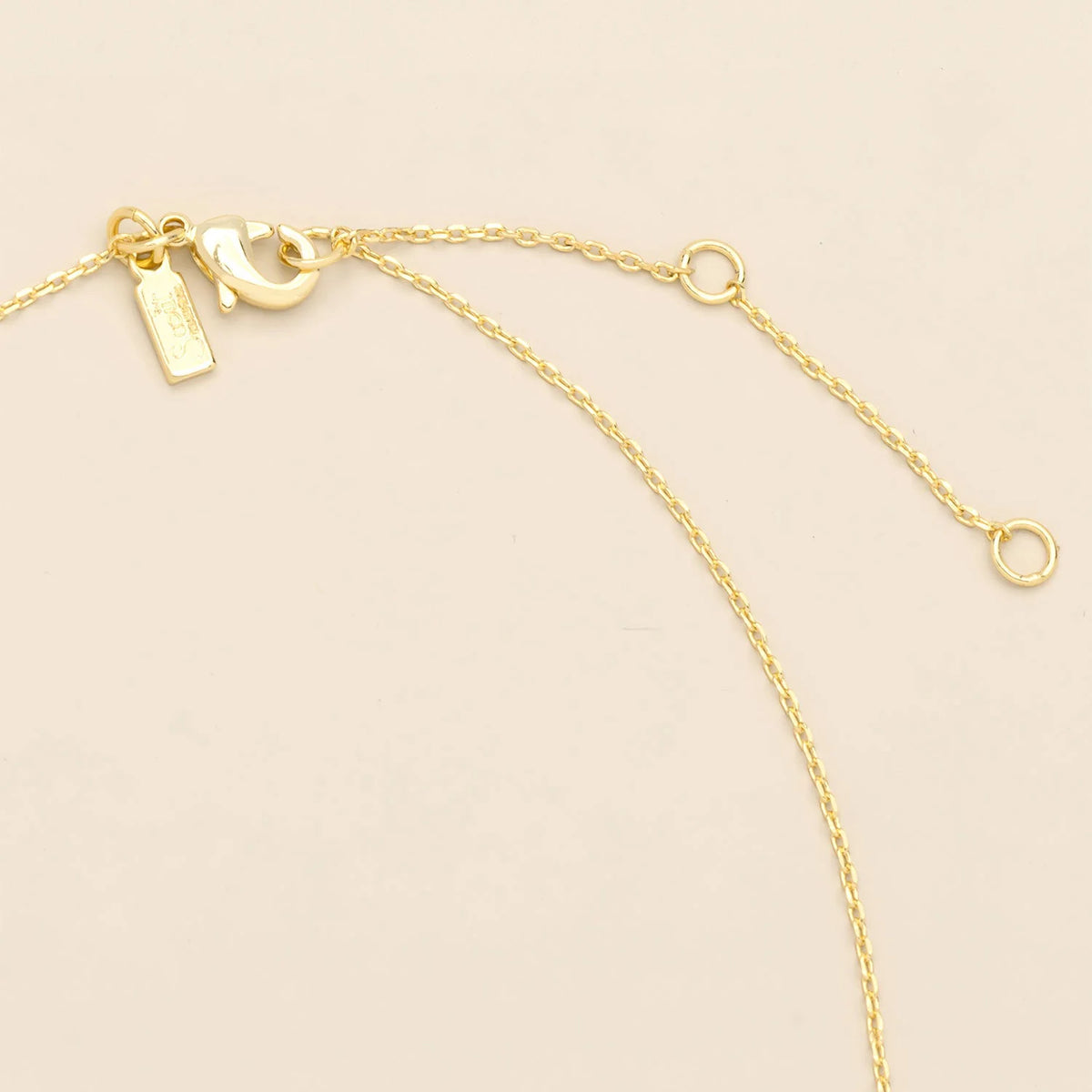 Pressed Flower Necklace - Gold - White Lace