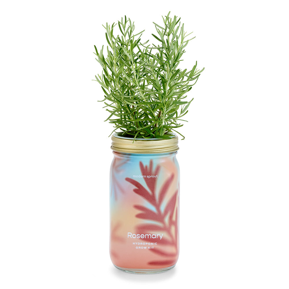 Organic Herb Garden Jar Hydroponic Growing Kit - Hello World Modern Mercantile