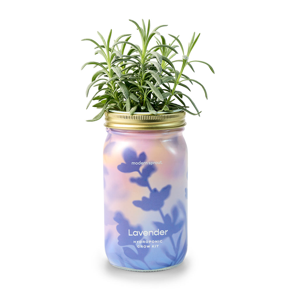 Organic Herb Garden Jar Hydroponic Growing Kit - Hello World Modern Mercantile