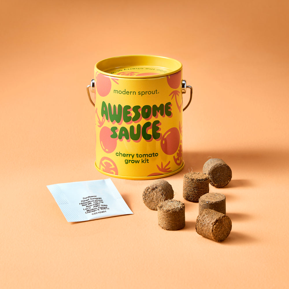Complimentary Colors Garden Grow Kit - Cherry Tomato - Hello World Modern Mercantile