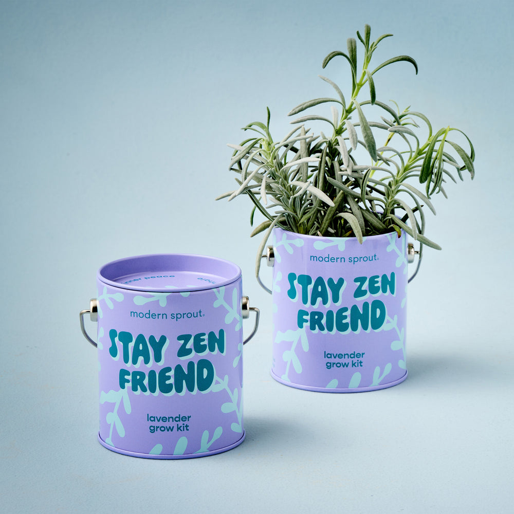 Complimentary Colors Garden Grow Kit - Lavender - Hello World Modern Mercantile