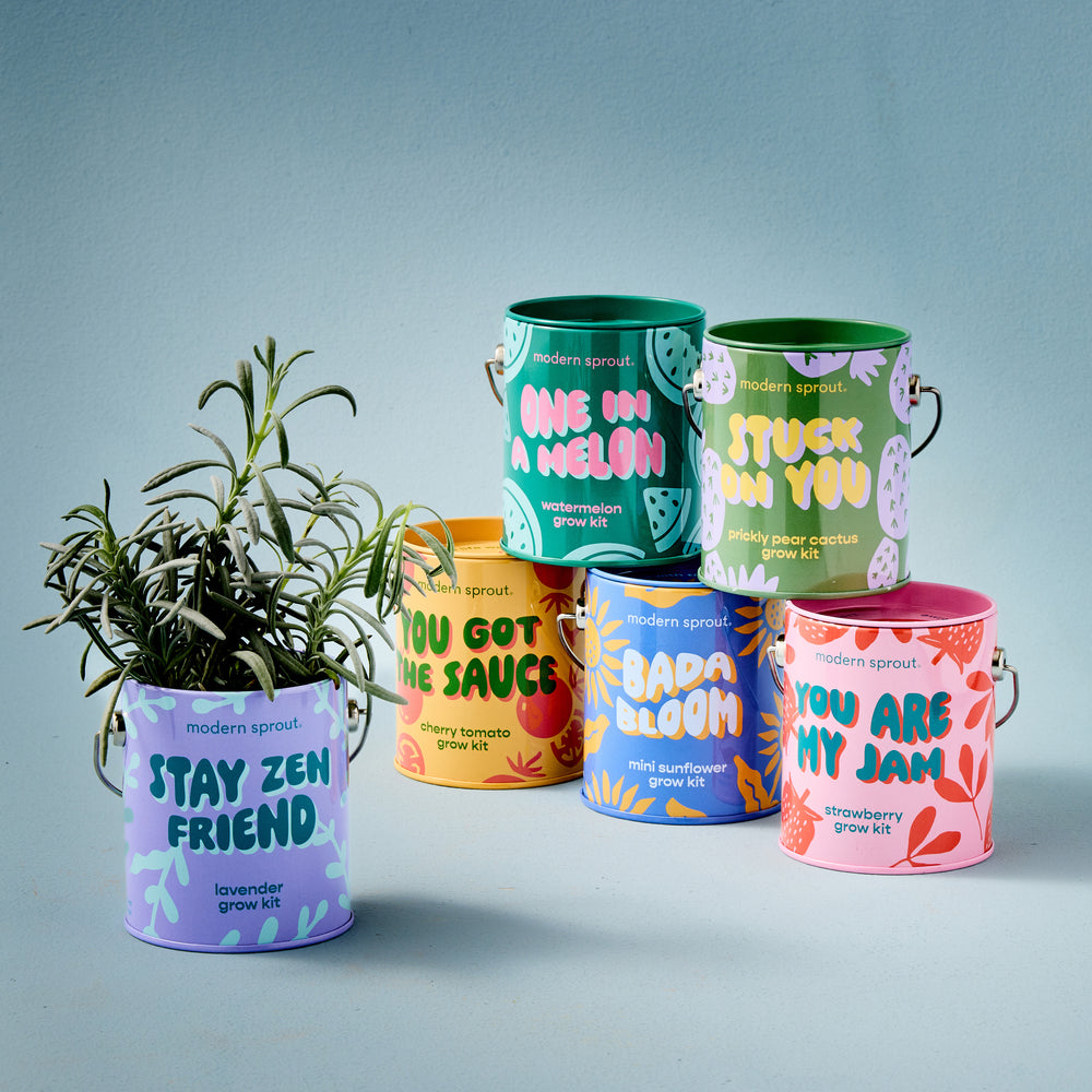 Complimentary Colors Garden Grow Kit - Lavender - Hello World Modern Mercantile