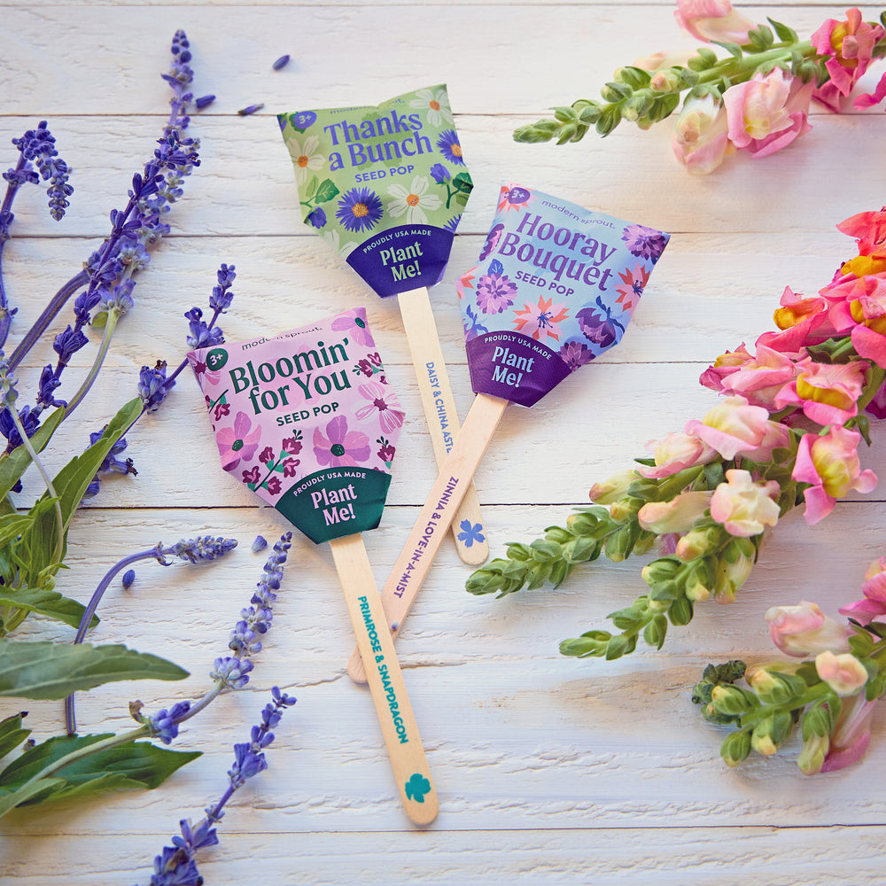 Seed Pop - Flowers