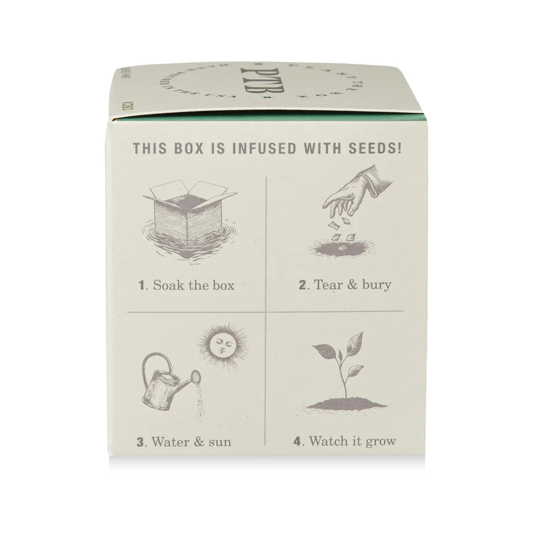 Crushed Mint - Pure Soy Candle Plantable Box - Hello World Modern Mercantile