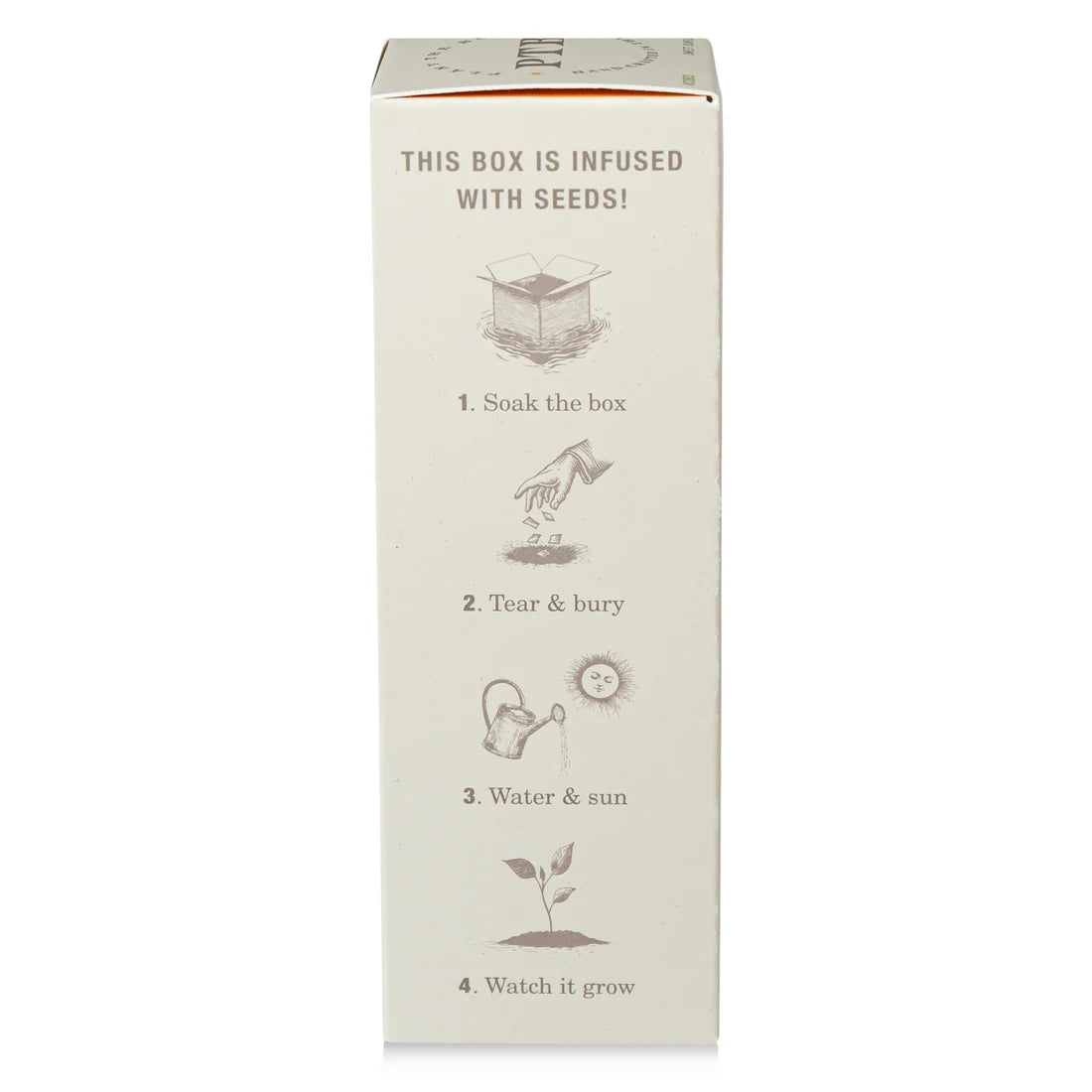 Sweet Sunflower - Plant The Box Scented Reed Diffuser