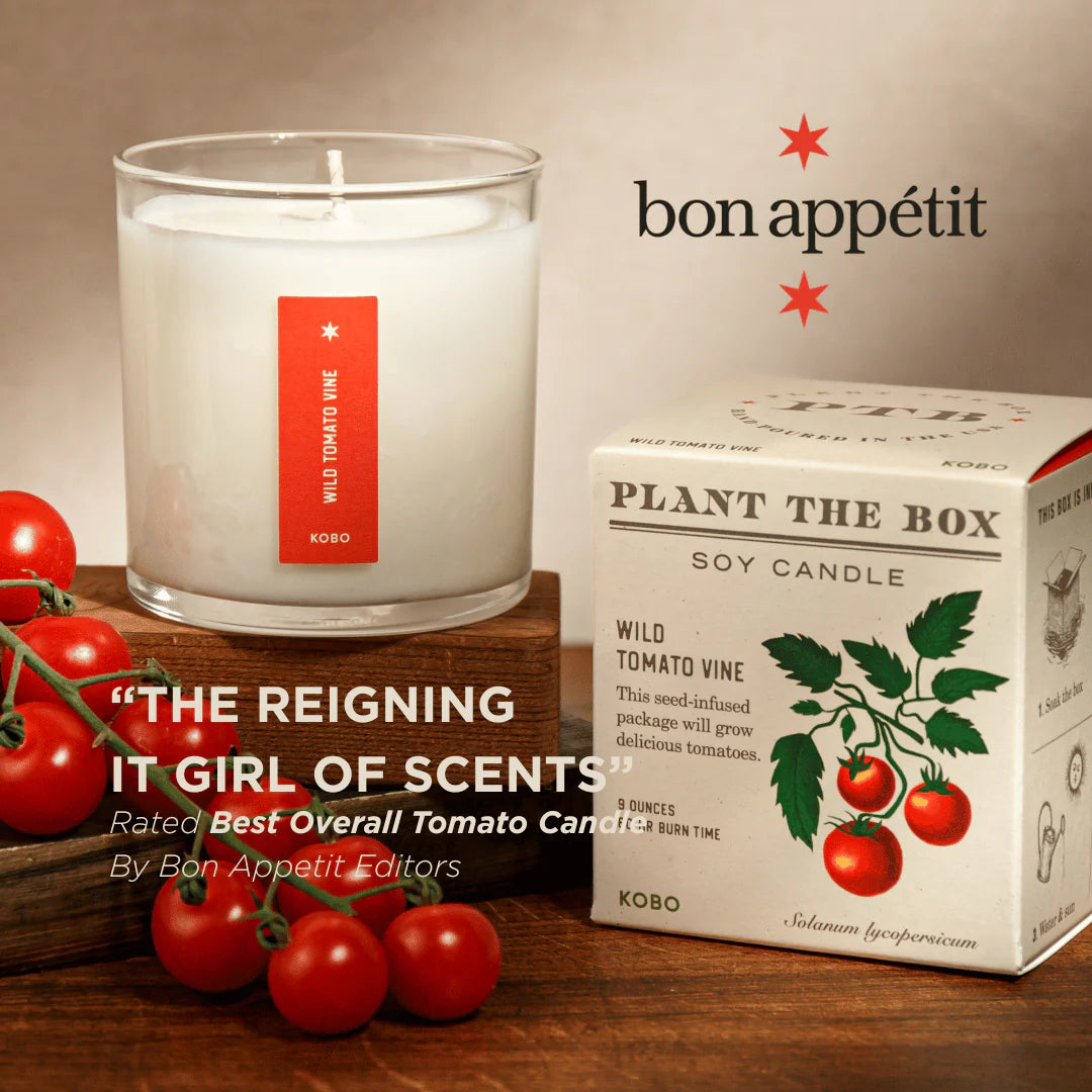 Wild Tomato Vine - Pure Soy Candle Plant The Box - Hello World Modern Mercantile