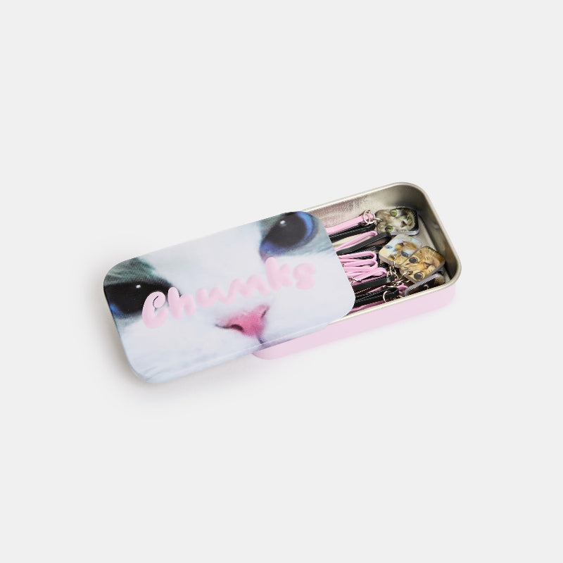 Chunks Kitty Bobby Pins Set of 8 in cute Chunks Cat Tin