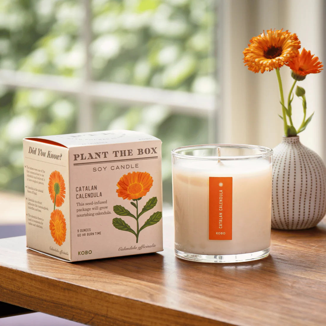 Catalan Calendula - Pure Soy Candle Plantable Box