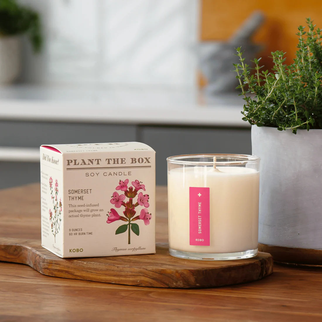 Somerset Thyme - Pure Soy Candle Plantable Box