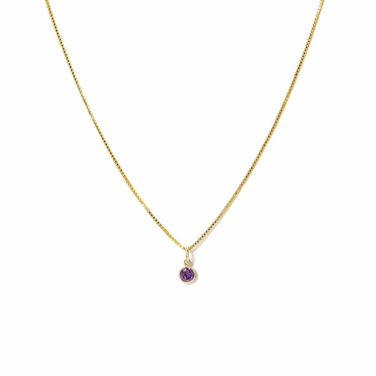 February Birthstone Gold-Filled Charm Necklace