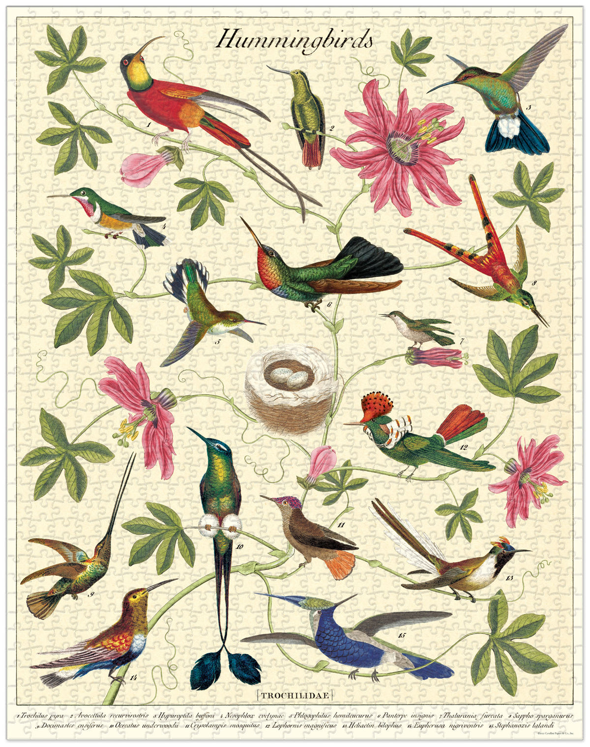 1000-Piece Vintage-Style Puzzle – Hummingbirds