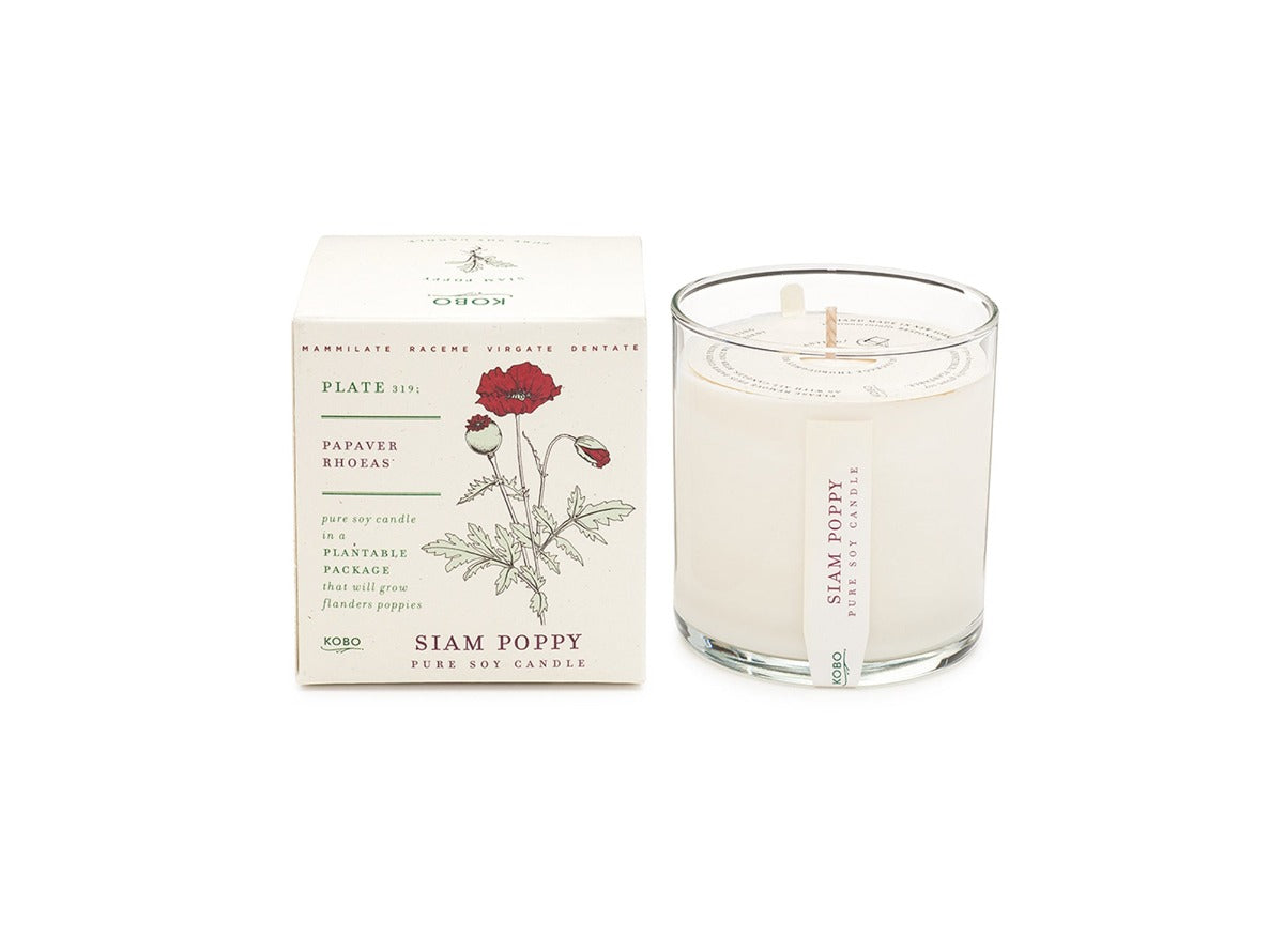 KOBO Candles Plant The Box 100% Pure Soy Wax Candle - Siam Poppy.