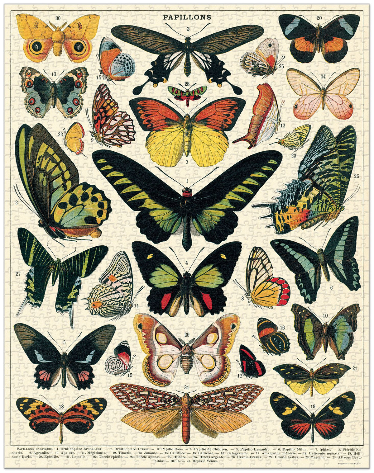 1000-Piece Vintage-Style Puzzle – Butterflies