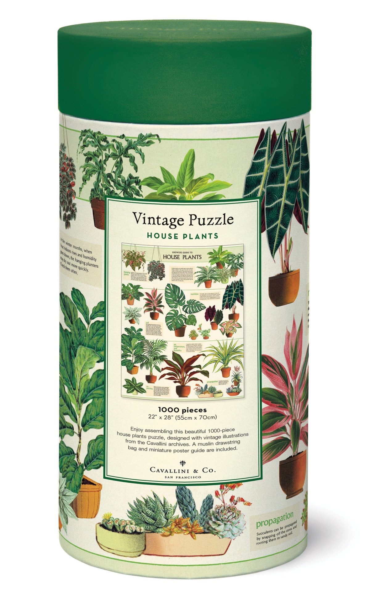 1000-Piece Vintage-Style Puzzle – House Plants