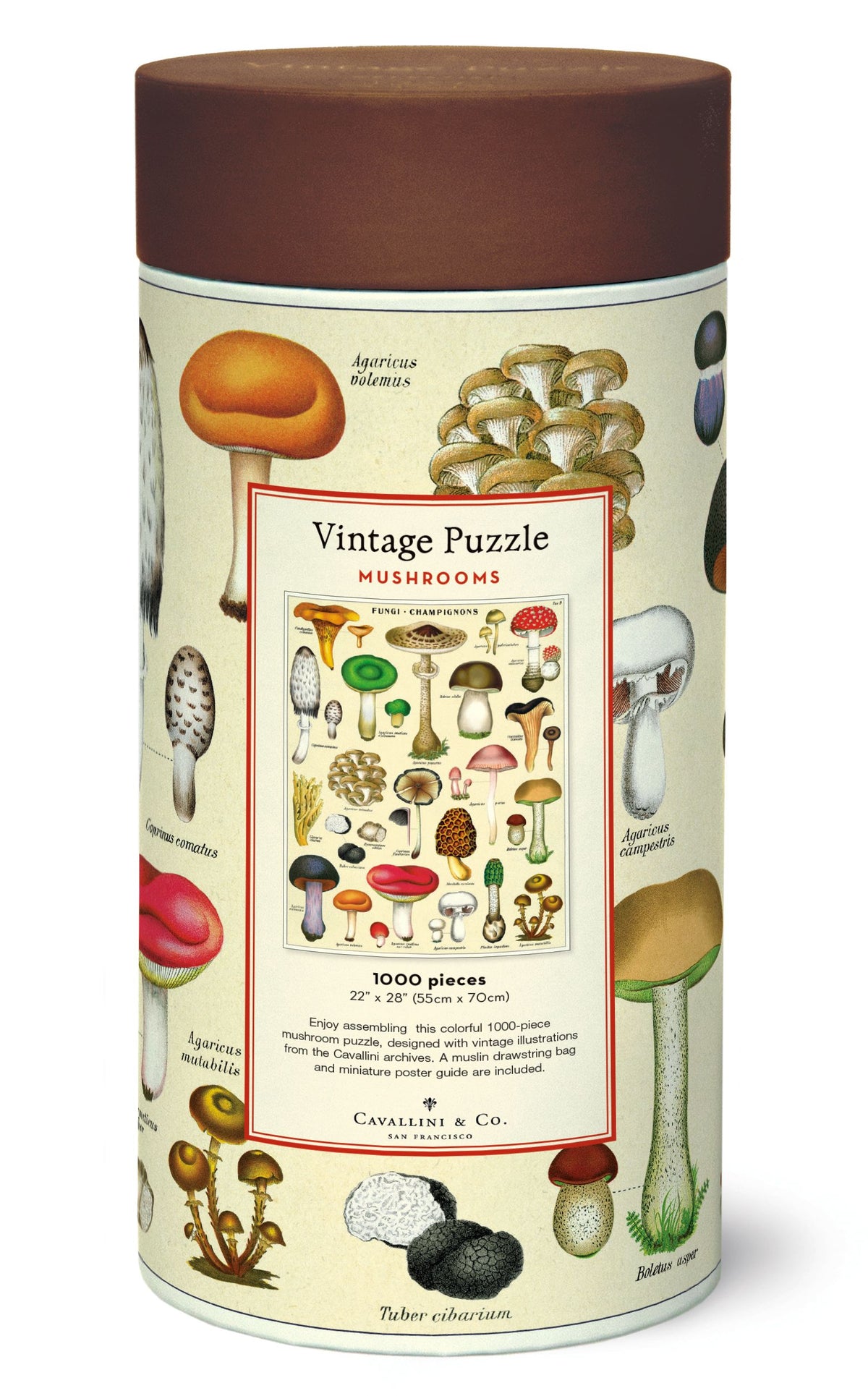 1000-Piece Vintage-Style Puzzle – Mushrooms