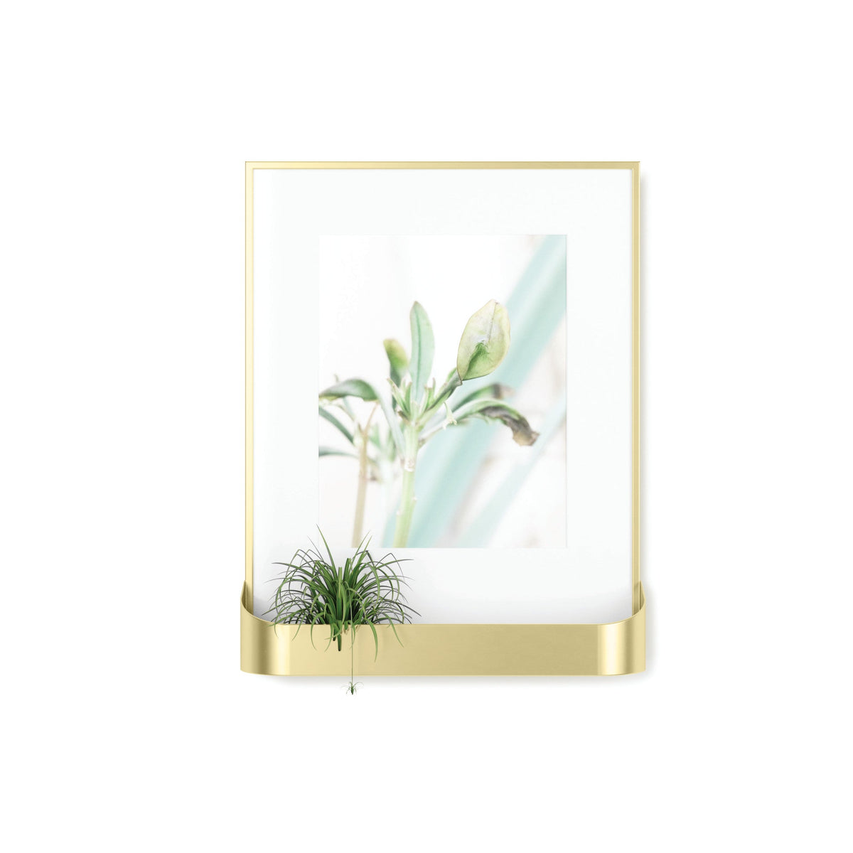 Matte Brass Matinee (8 x 10) Photo Frame Shelf