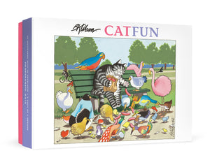 B. Kliban: CatFun Boxed Notecard Assortment Front View