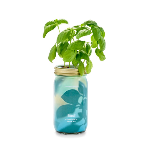 Organic Herb Garden Jar Hydroponic Growing Kit - Hello World Modern Mercantile