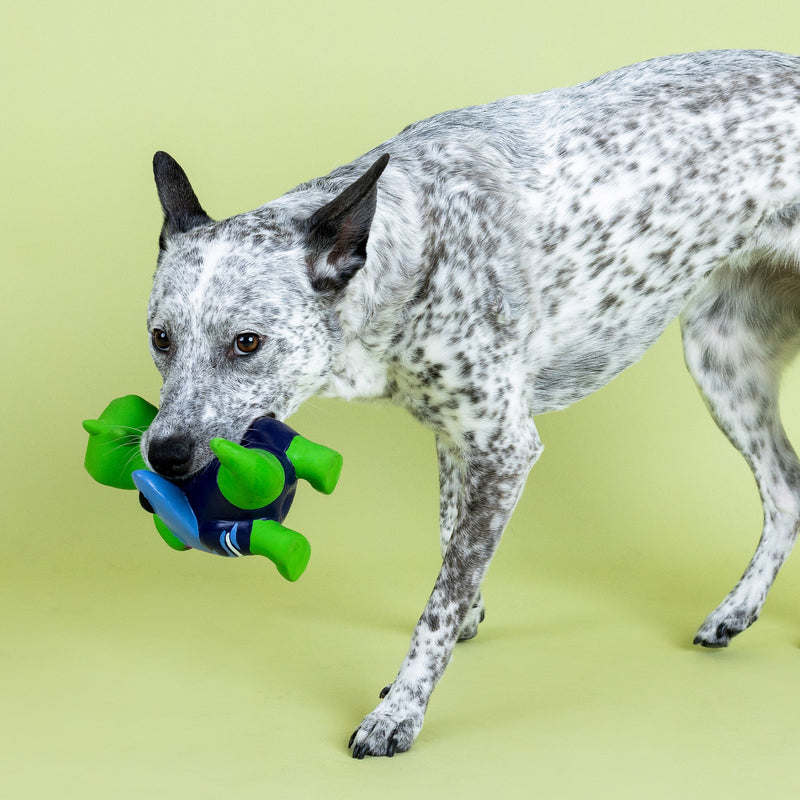 Good Vibes, High Tides Latex Dog Toy