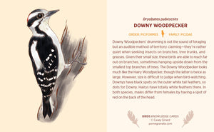 Birds Knowledge Card Deck