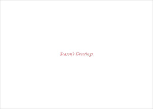 Merry Evergreens Deluxe Box Holiday Cards