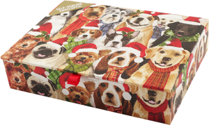 Deck the Dogs Deluxe Boxed Holiday Cards