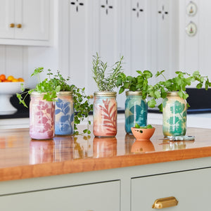 Organic Herb Garden Jar Hydroponic Growing Kit - Hello World Modern Mercantile
