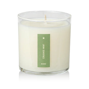 Crushed Mint - Pure Soy Candle Plantable Box - Hello World Modern Mercantile