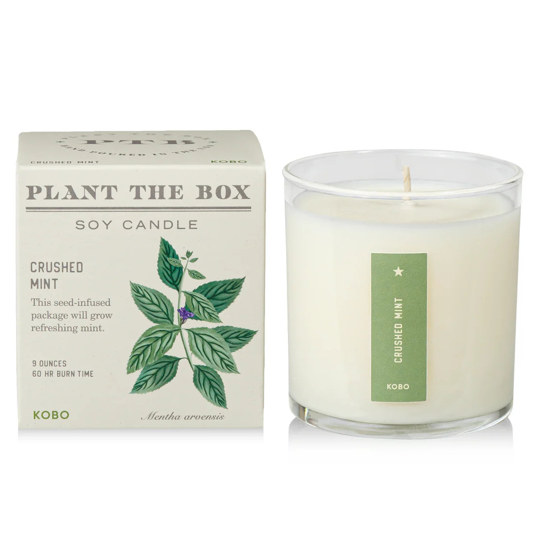 Crushed Mint - Pure Soy Candle Plantable Box - Hello World Modern Mercantile