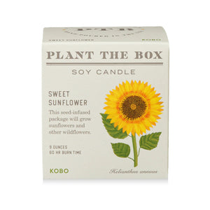 Sweet Sunflower - Pure Soy Plant The Box Candle - Hello World Modern Mercantile