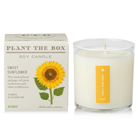 Sweet Sunflower - Pure Soy Plant The Box Candle - Hello World Modern Mercantile