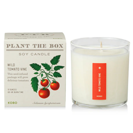 Wild Tomato Vine - Pure Soy Candle Plant The Box - Hello World Modern Mercantile