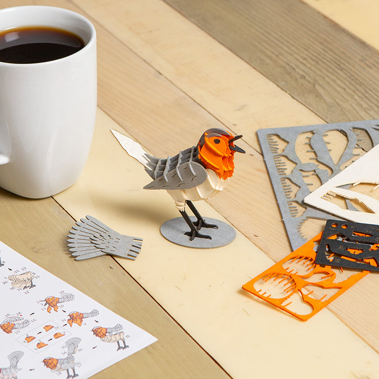 Robin 3D Puzzle