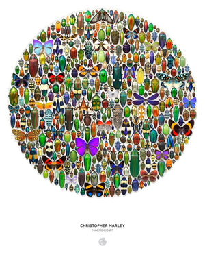 Christopher Marley: Macrocosm 500-Piece Circular Jigsaw Puzzle Interior Poster