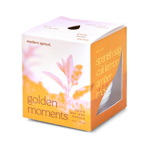 Garden Vibes Soy Candle - 2-in-1 Planter & Candle Gift Set - Hello World Modern Mercantile