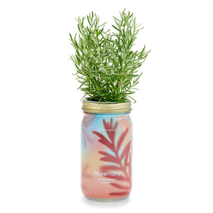 Organic Herb Garden Jar Hydroponic Growing Kit - Hello World Modern Mercantile