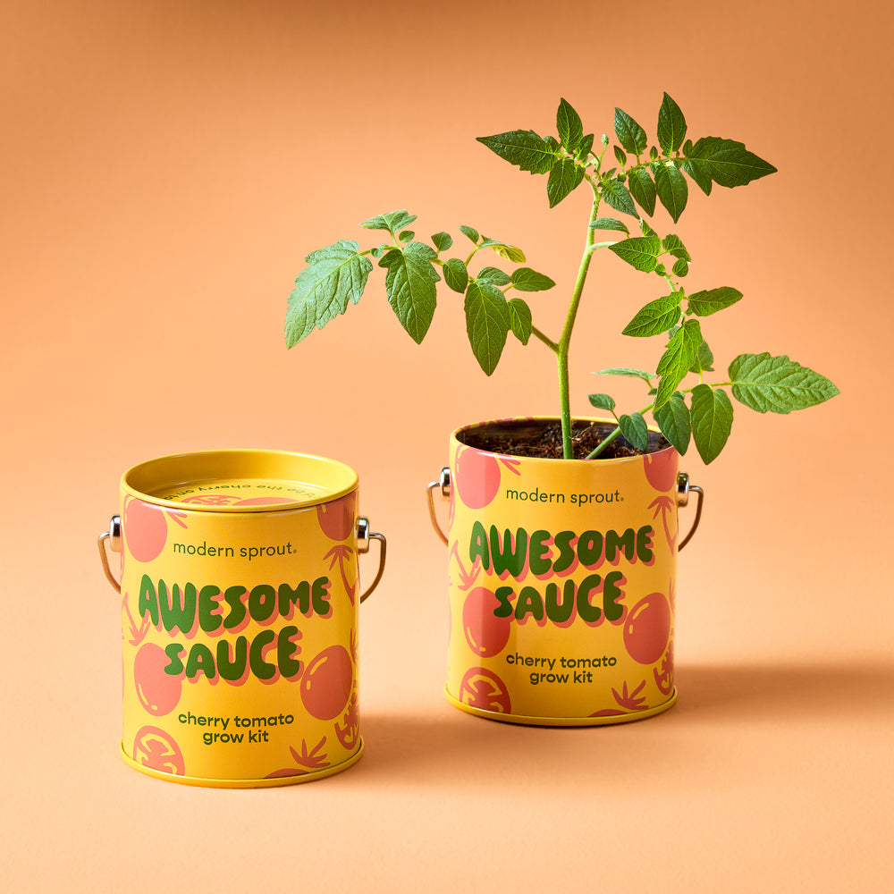 Complimentary Colors Garden Grow Kit - Cherry Tomato - Hello World Modern Mercantile