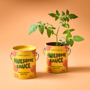 Complimentary Colors Garden Grow Kit - Cherry Tomato - Hello World Modern Mercantile