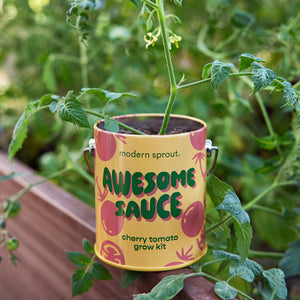 Complimentary Colors Garden Grow Kit - Cherry Tomato - Hello World Modern Mercantile