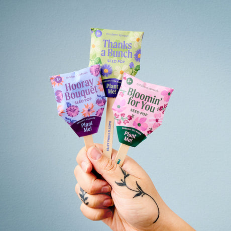 Seed Pop - Flowers