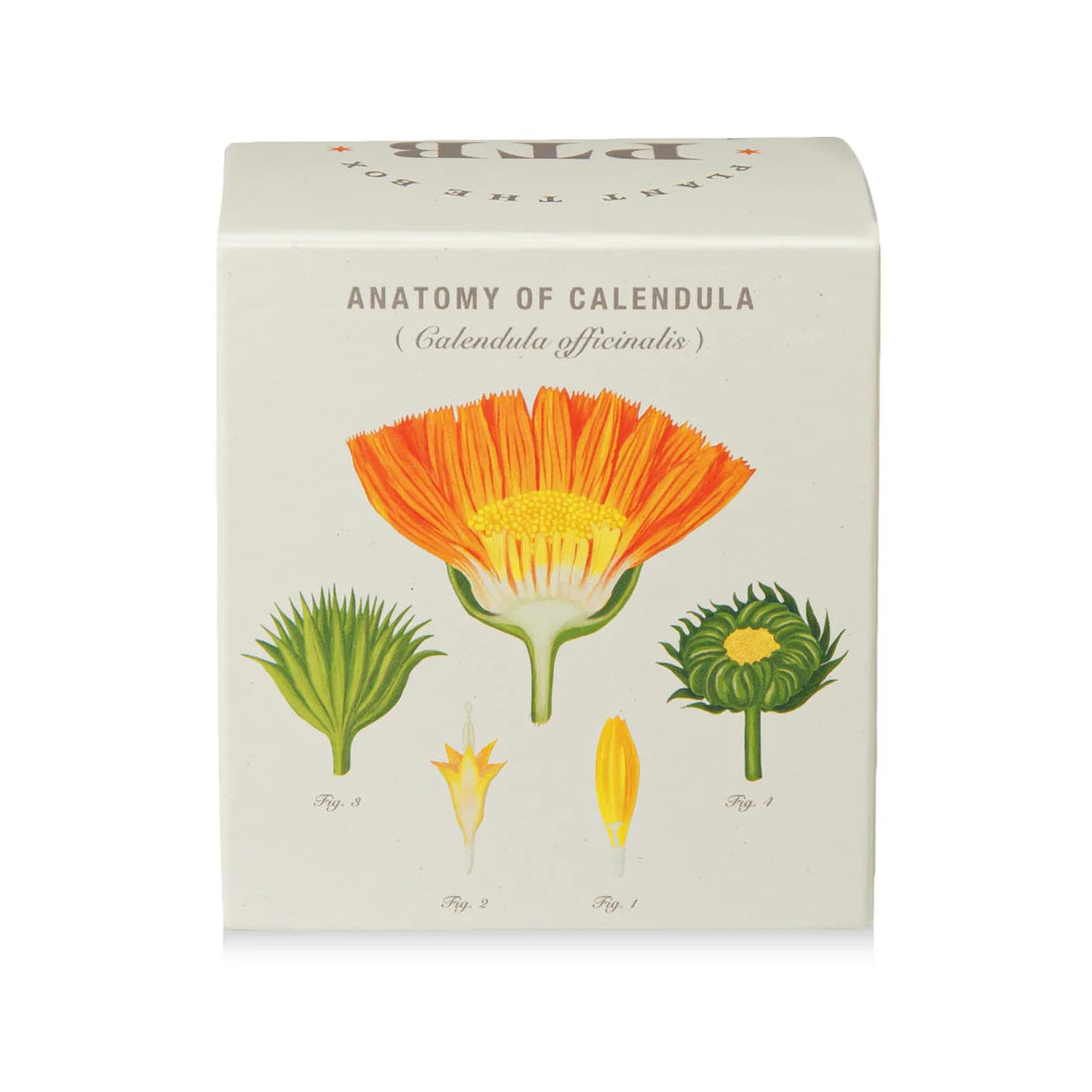 Catalan Calendula - Pure Soy Candle Plantable Box