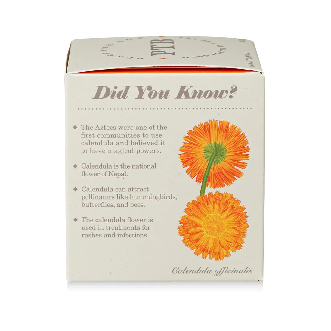 Catalan Calendula - Pure Soy Candle Plantable Box