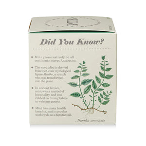 Crushed Mint - Pure Soy Candle Plantable Box - Hello World Modern Mercantile