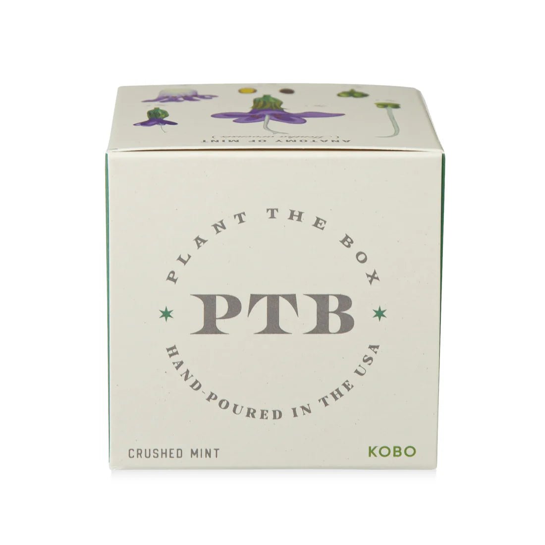 Crushed Mint - Pure Soy Candle Plantable Box - Hello World Modern Mercantile