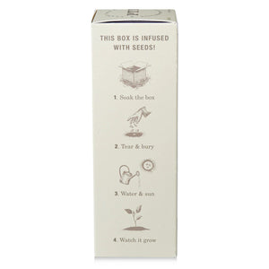 Heath Lavender - Plant The Box Scented Reed Diffuser